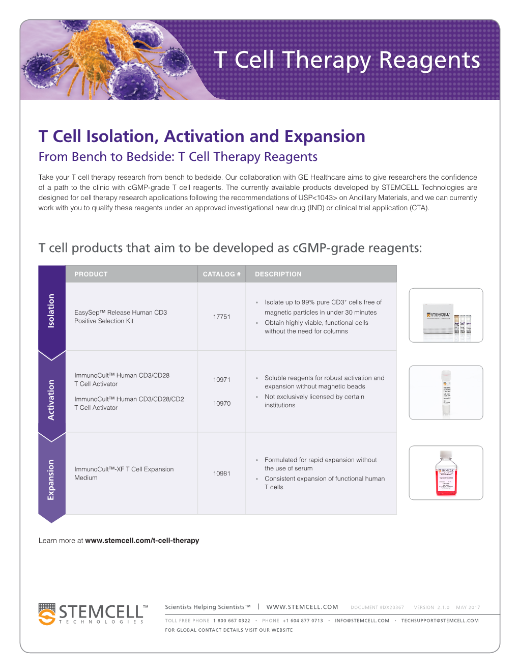 T Cell Therapy Reagents