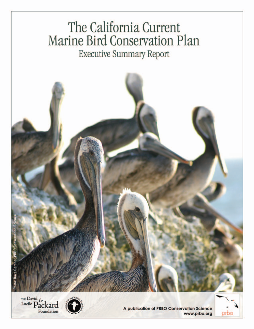 The California Current Marine Bird Conservation Plan Executive Summary Report