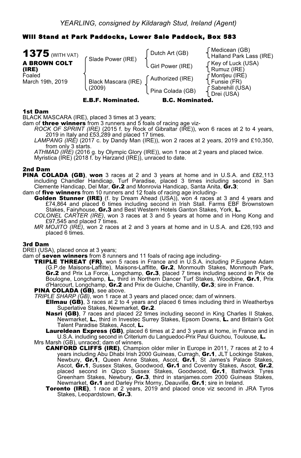 YEARLING, Consigned by Kildaragh Stud, Ireland (Agent)