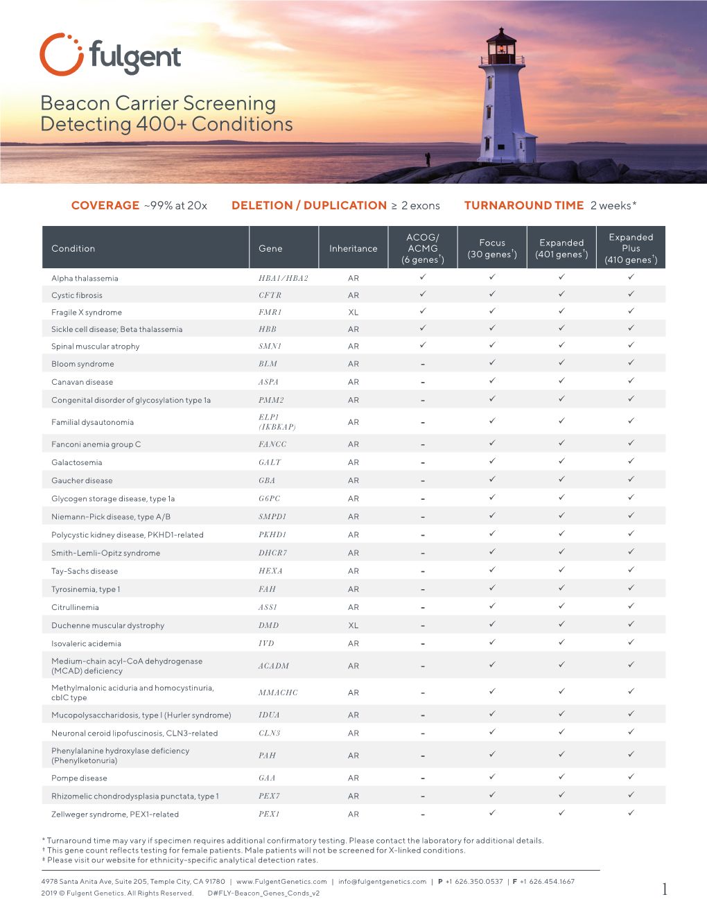 Beacon Carrier Screening Detecting 400+ Conditions