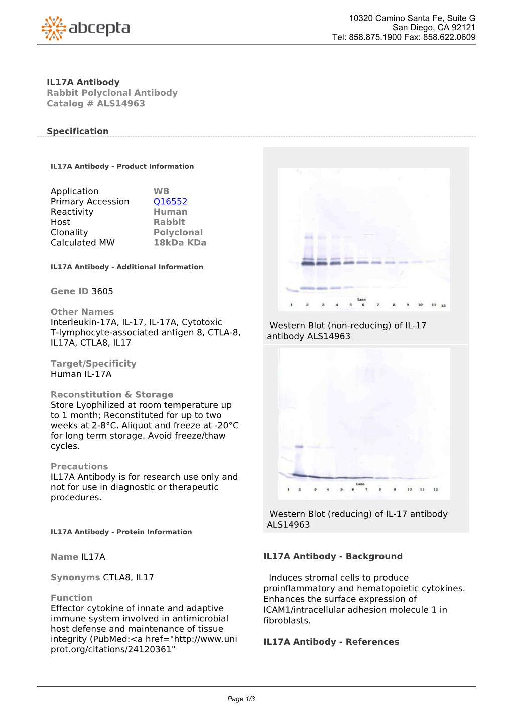 IL17A Antibody Rabbit Polyclonal Antibody Catalog # ALS14963