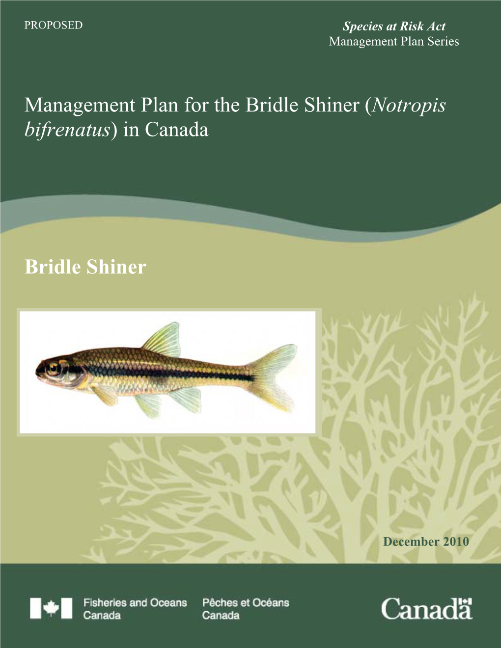 Management Plan for the Bridle Shiner (Notropis Bifrenatus) in Canada