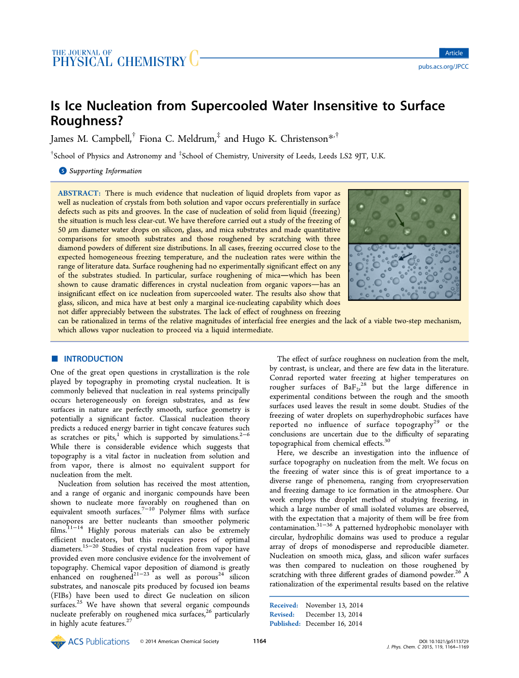 Is Ice Nucleation from Supercooled Water Insensitive to Surface Roughness? † ‡ † James M