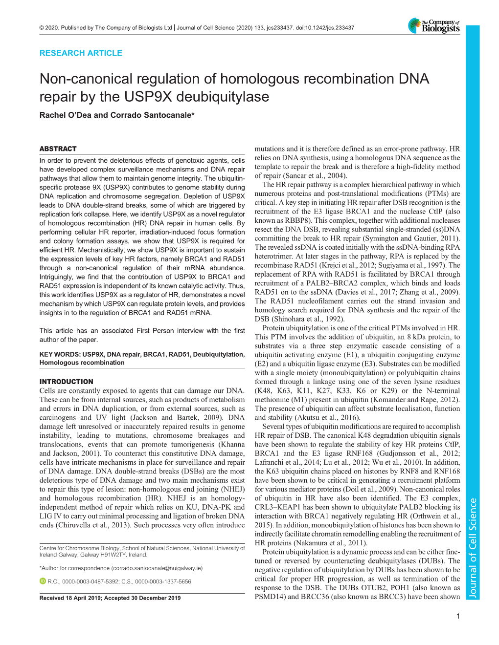 Non-Canonical Regulation of Homologous Recombination DNA Repair by the USP9X Deubiquitylase Rachel O’Dea and Corrado Santocanale*