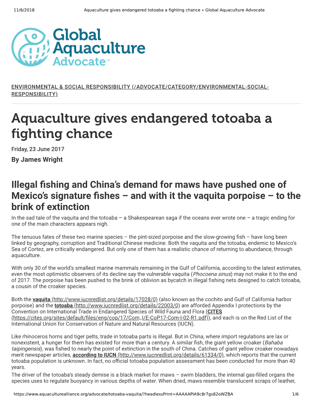 Aquaculture Gives Endangered Totoaba a Fighting Chance « Global Aquaculture Advocate