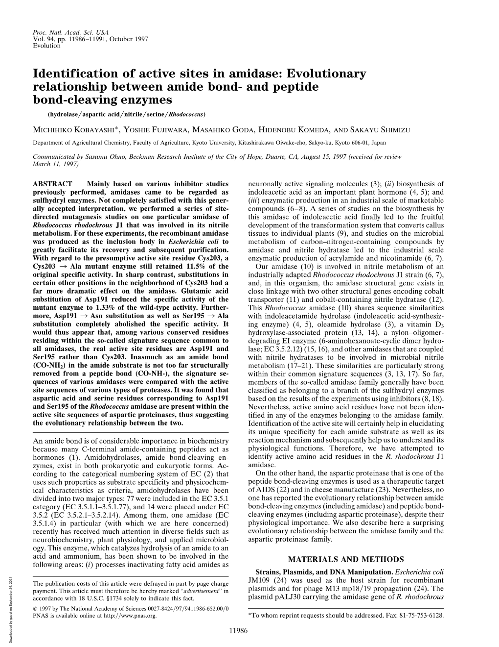 Identification of Active Sites in Amidase: Evolutionary Relationship Between