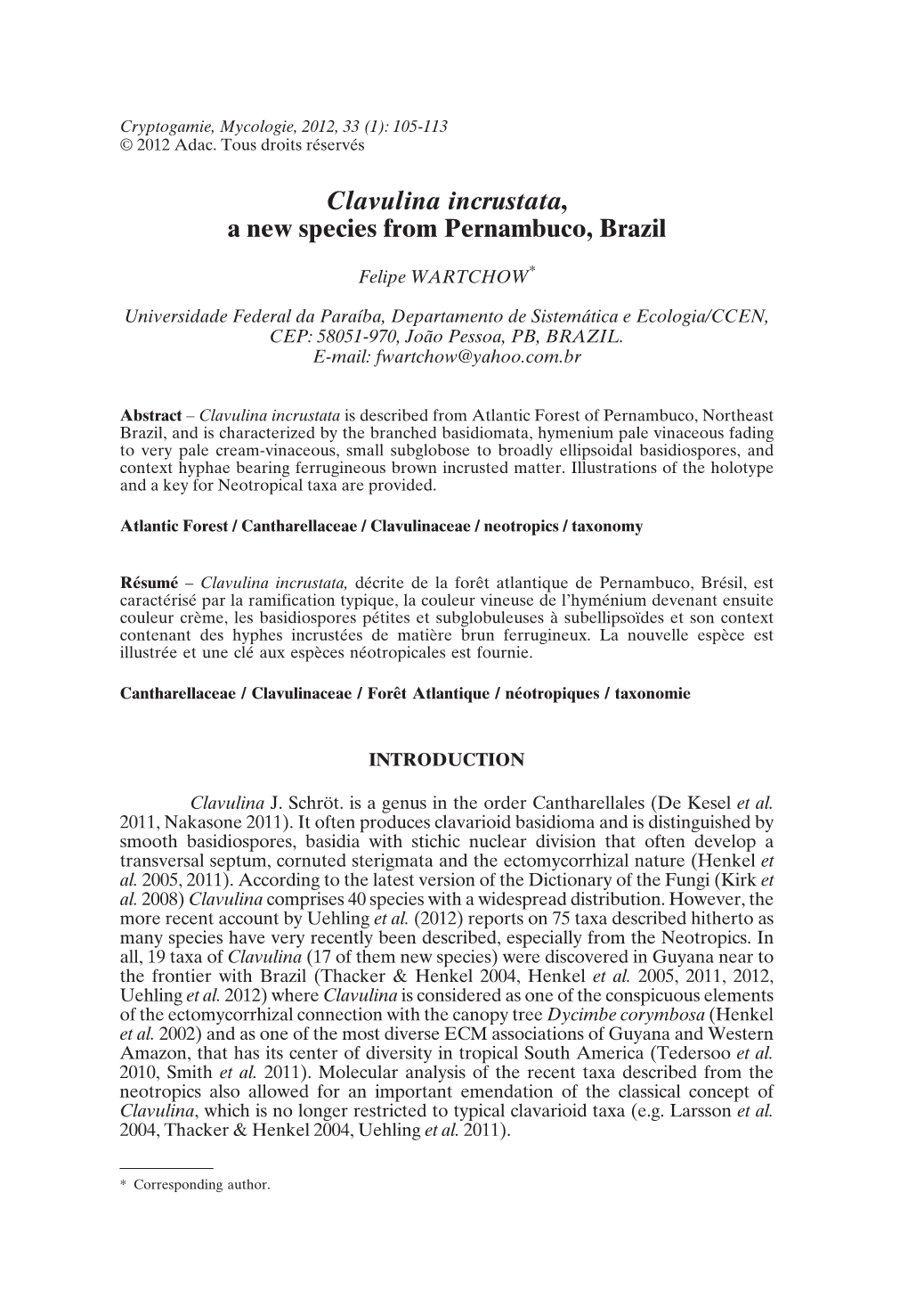 Clavulina Incrustata, a New Species from Pernambuco, Brazil