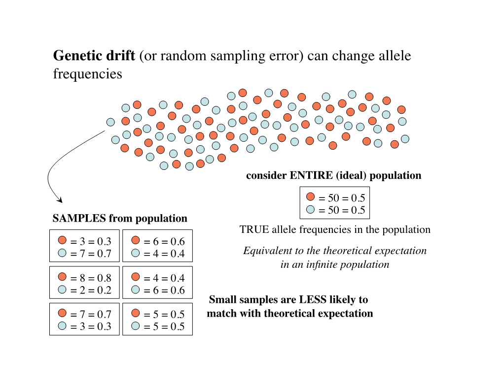 B32-W6-Lecture Copy.Pptx