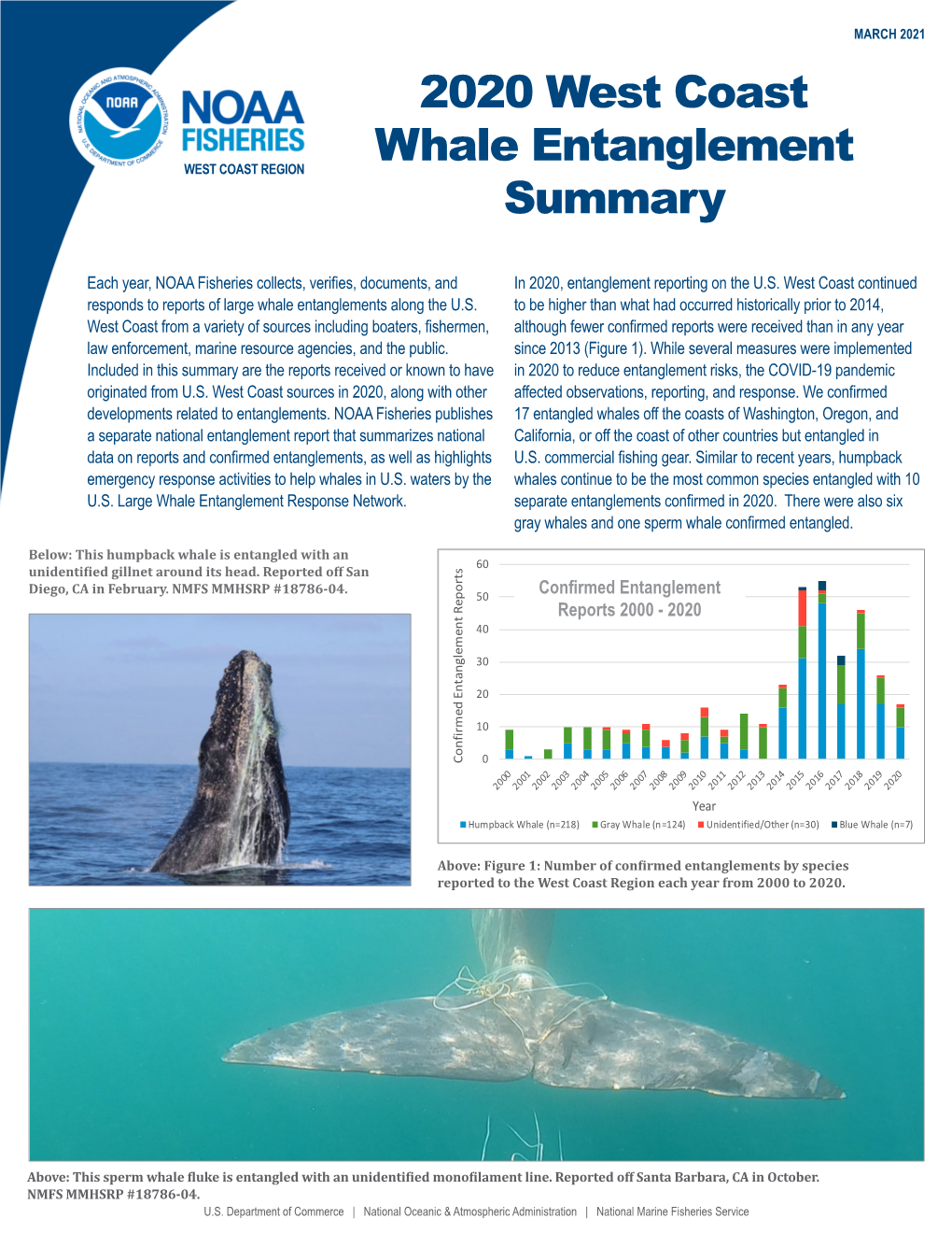 2020 West Coast Whale Entanglement Summary