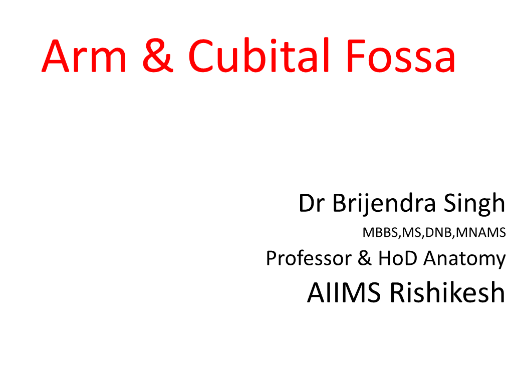 Arm & Cubital Fossa