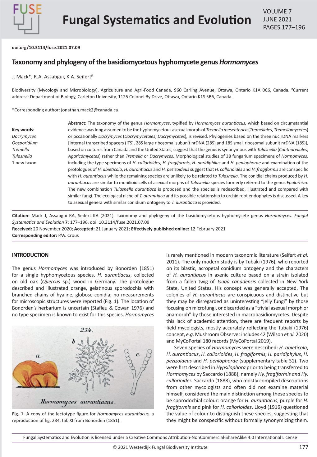 Taxonomy and Phylogeny of the Basidiomycetous Hyphomycete Genus Hormomyces