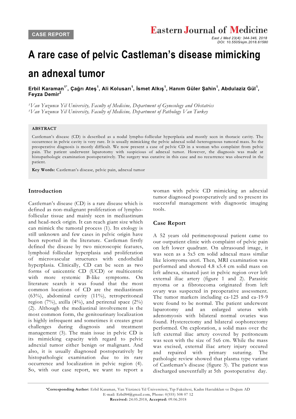 A Rare Case of Pelvic Castleman's Disease Mimicking an Adnexal Tumor