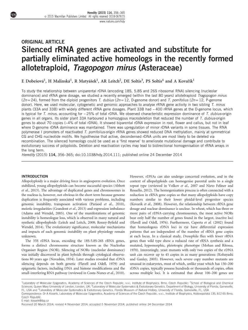 Silenced Rrna Genes Are Activated and Substitute for Partially Eliminated Active Homeologs in the Recently Formed Allotetraploid, Tragopogon Mirus (Asteraceae)