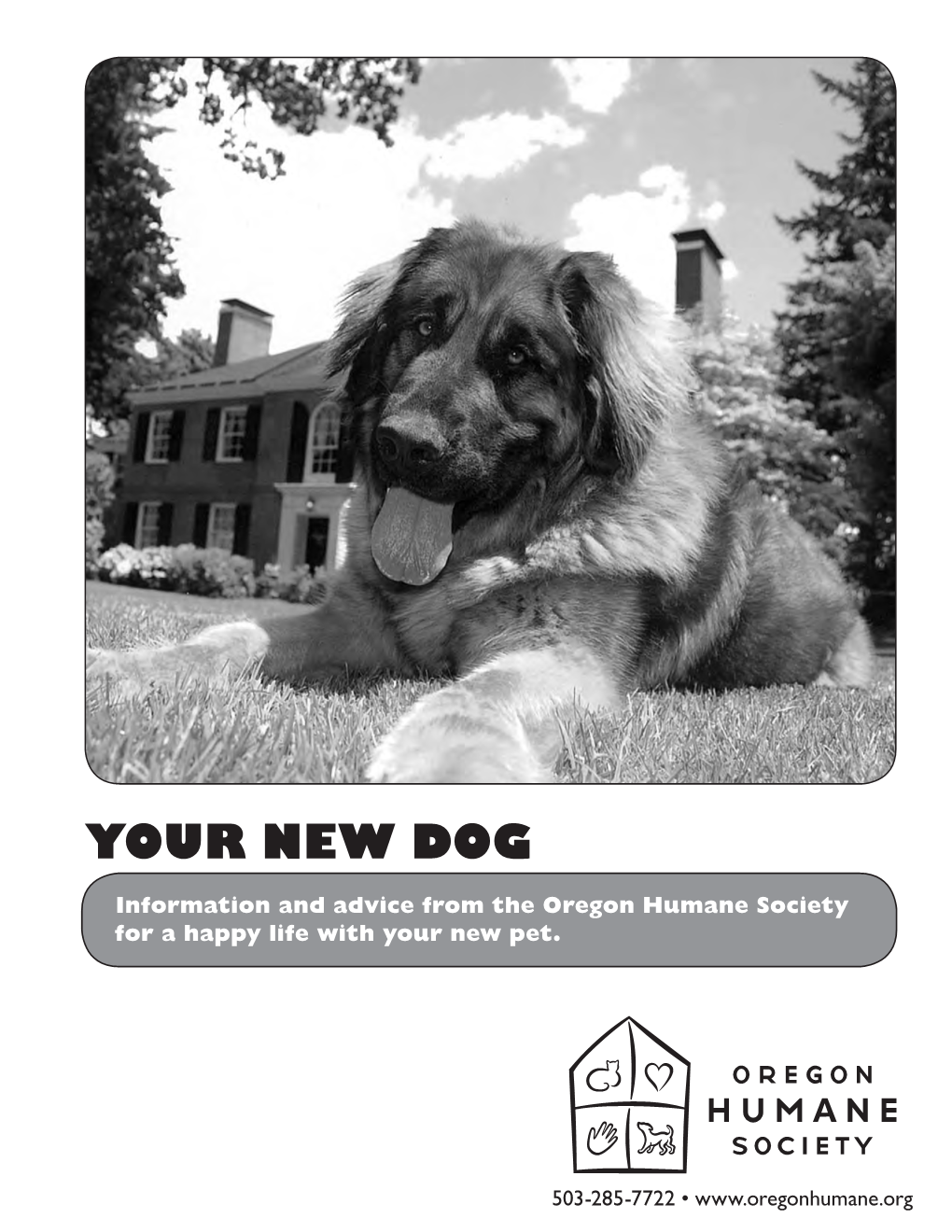 “Your New Dog” Adoption Booklet