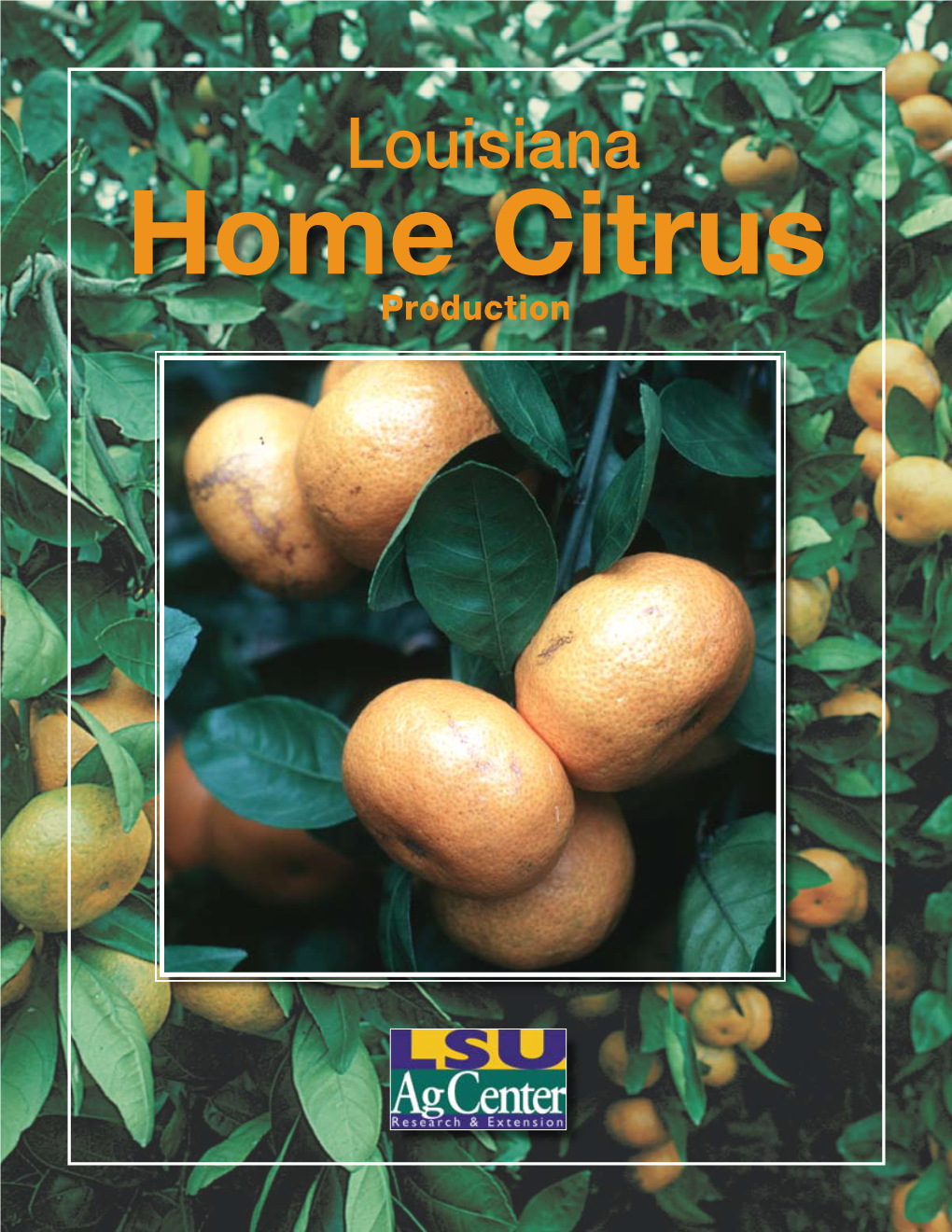 Louisiana Home Citrus Production