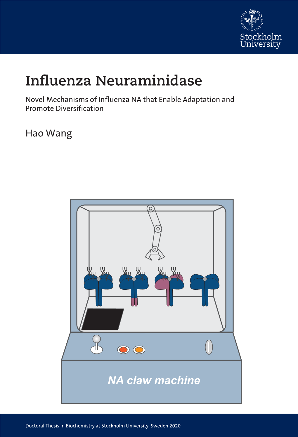 Influenza Neuraminidase