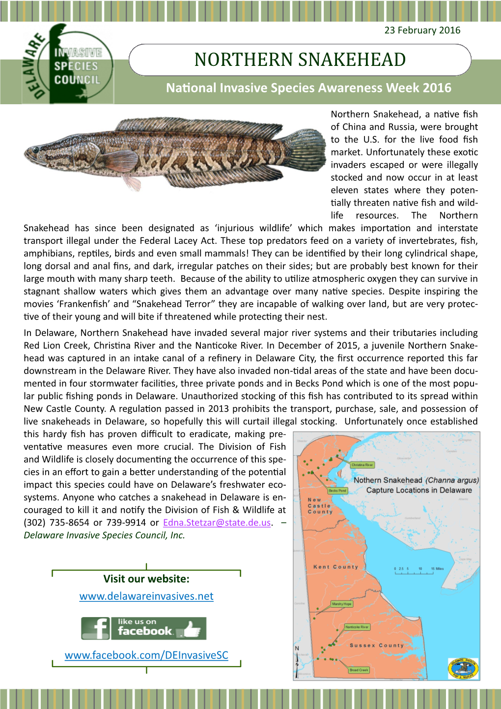 NORTHERN SNAKEHEAD National Invasive Species Awareness Week 2016