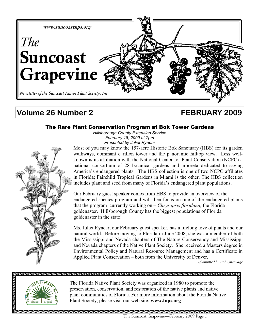 Suncoast Grapevine