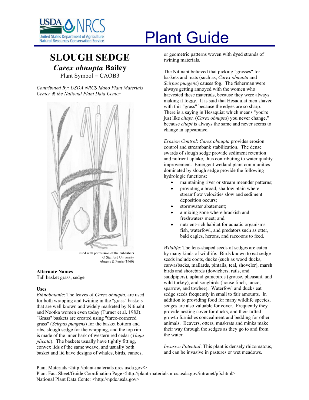 SLOUGH SEDGE Twining Materials