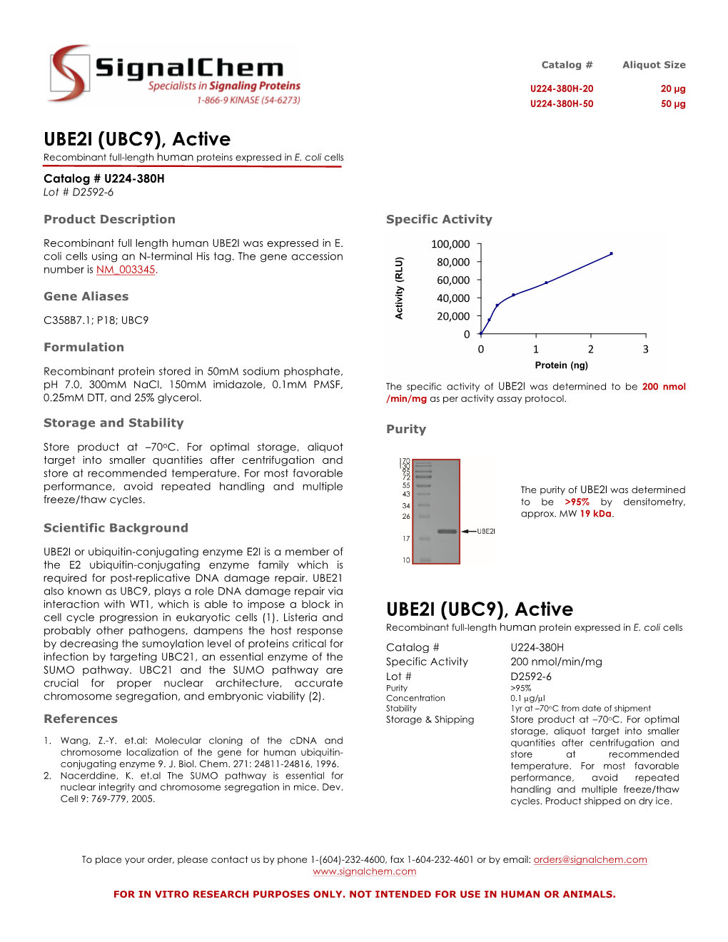 UBE2I (UBC9), Active Recombinant Full-Length Human Proteins Expressed in E