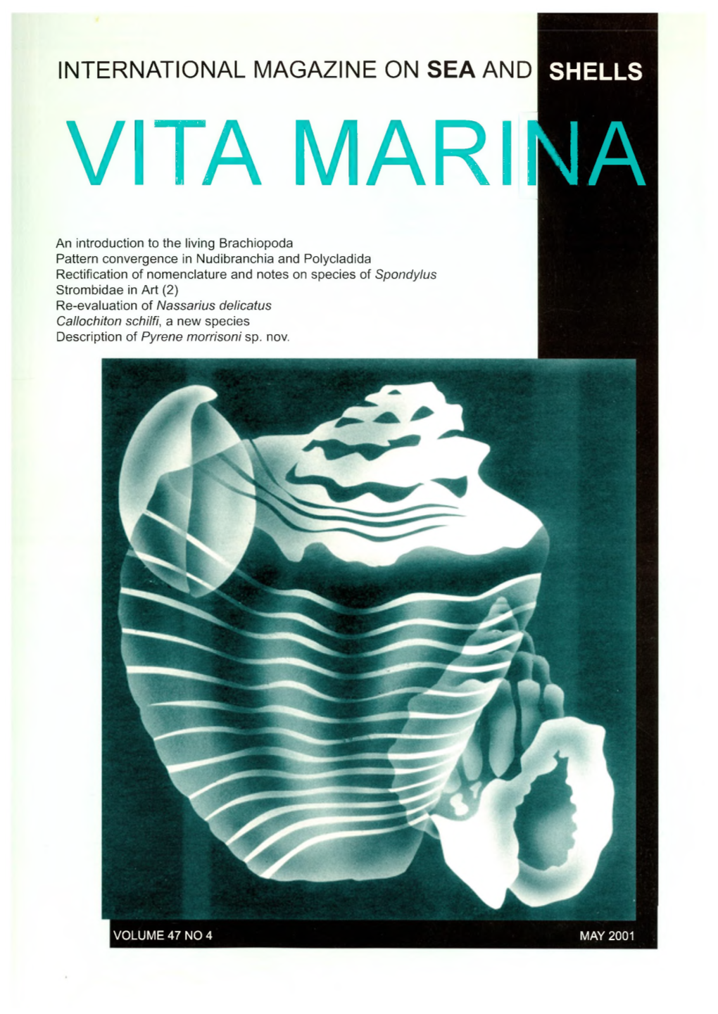 International Magazine on Sea and Shells Vita Mari|\Ia