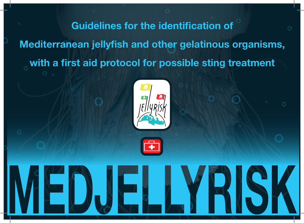 Guidelines for the Identification of Mediterranean Jellyfish and Other