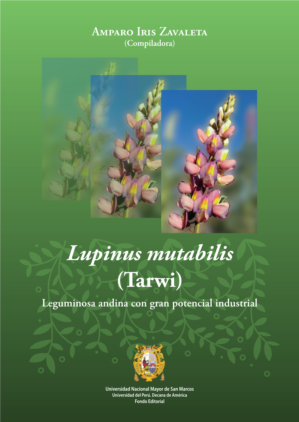 Lupinus Mutabilis (Tarwi) Leguminosa Andina Con Gran Potencial Industrial