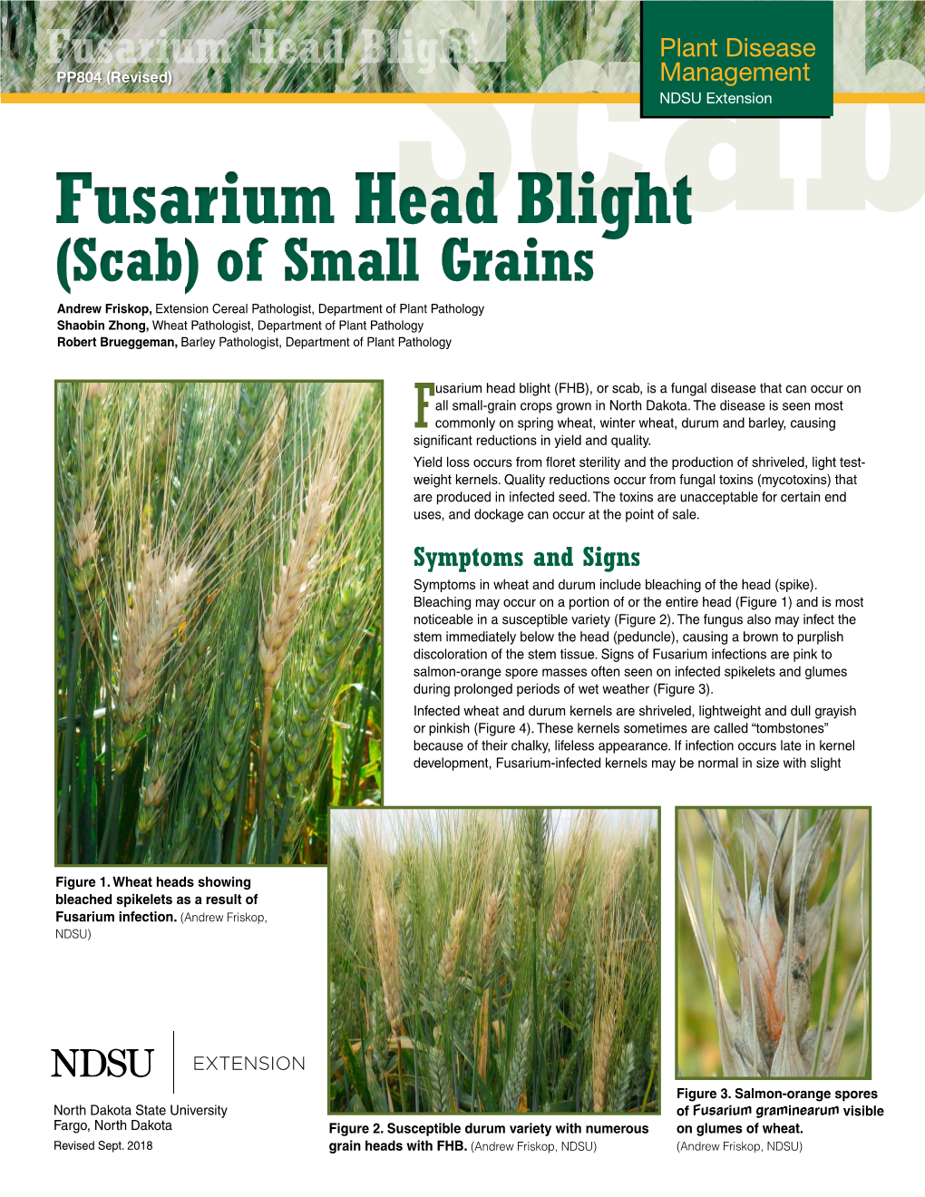 Fusarium Head Blight (Scab) of Small Grains [PP804]