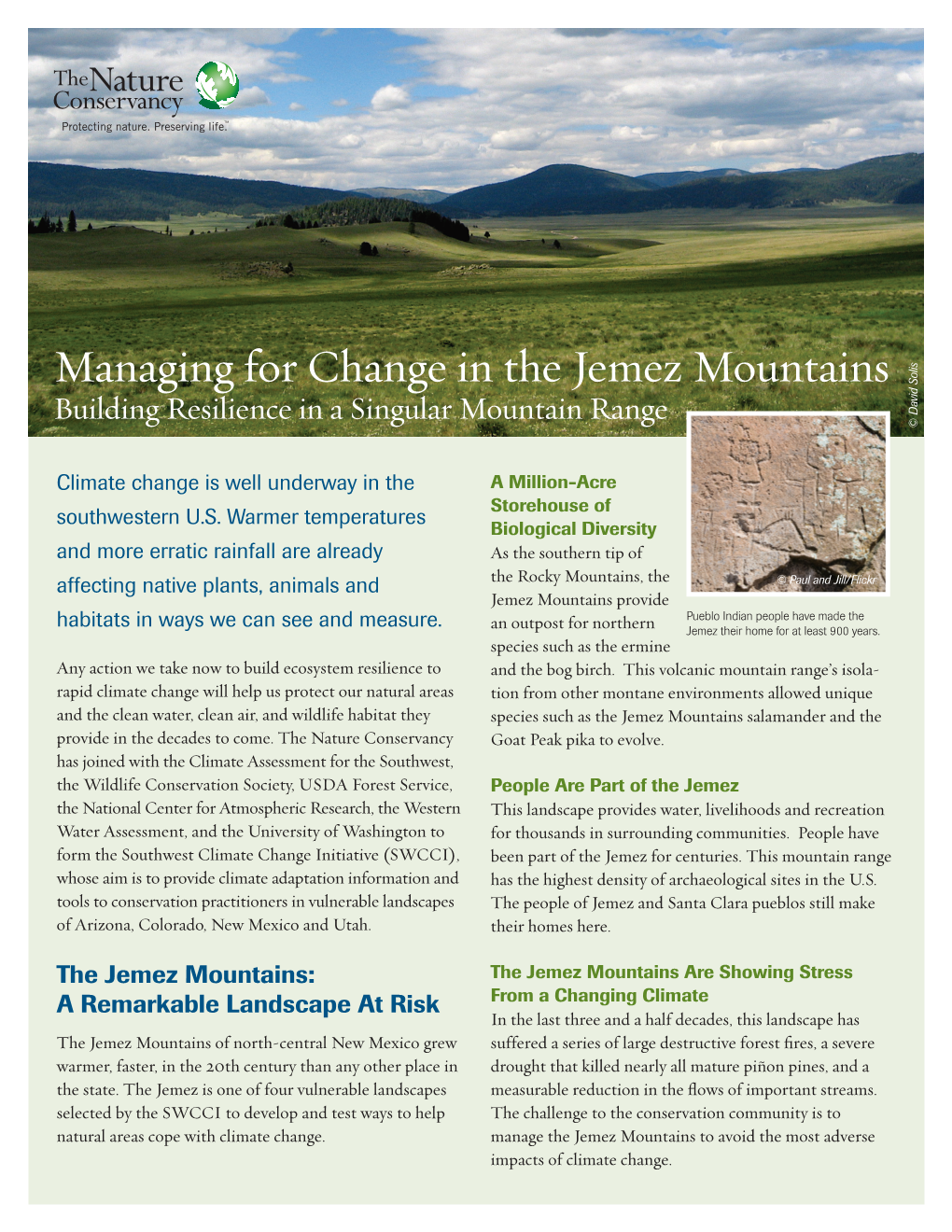 Managing for Change in the Jemez Mountains