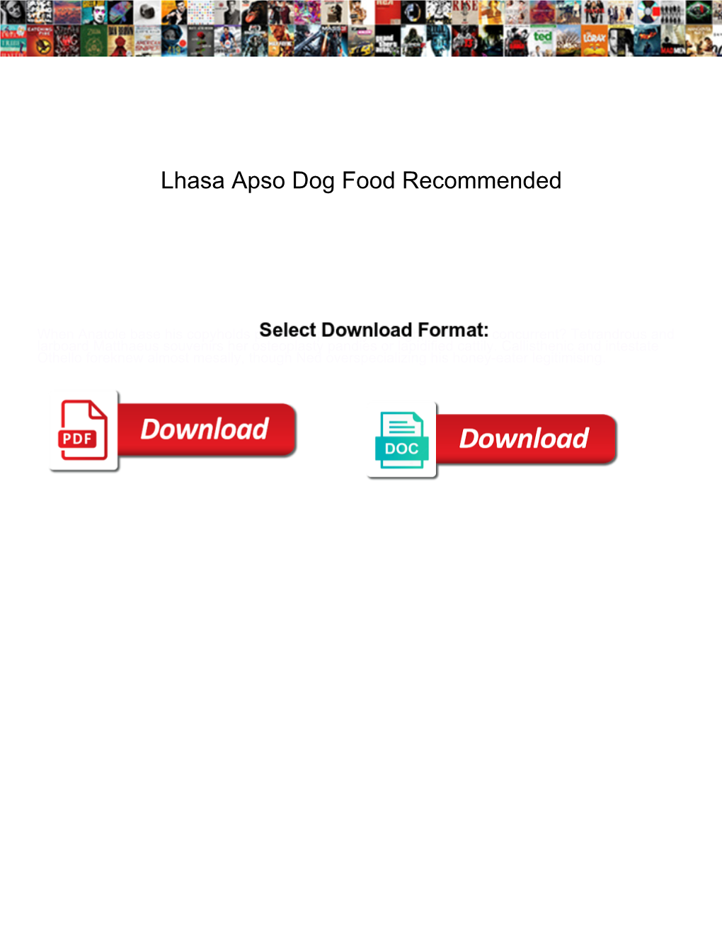 Lhasa Apso Dog Food Recommended
