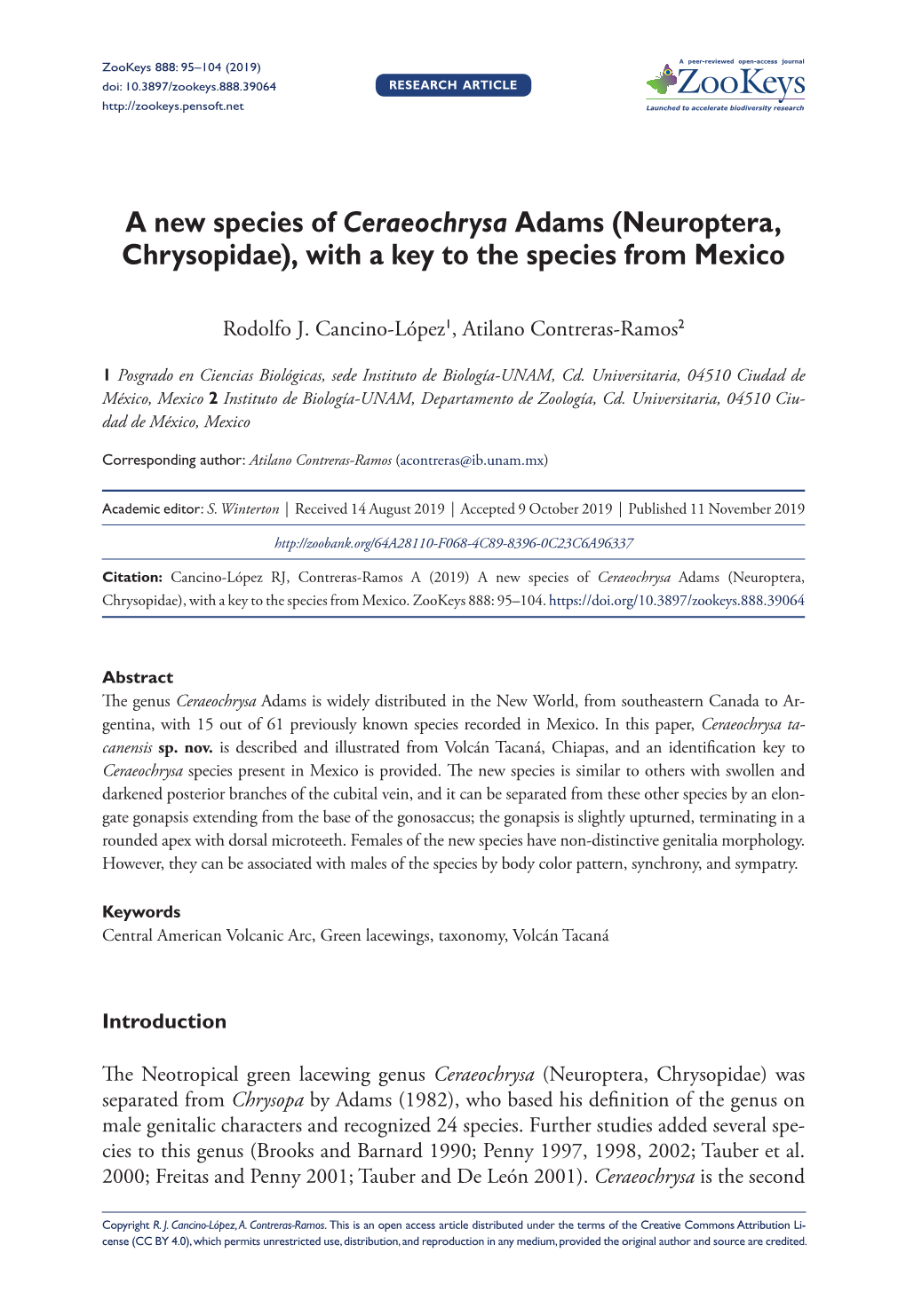 A New Species of Ceraeochrysa Adams (Neuroptera, Chrysopidae), with a Key to the Species from Mexico