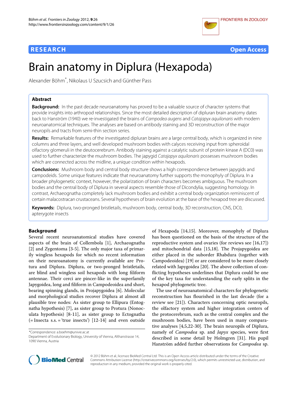 Brain Anatomy in Diplura (Hexapoda) Alexander Bohm¨ *, Nikolaus U Szucsich and Gunther¨ Pass