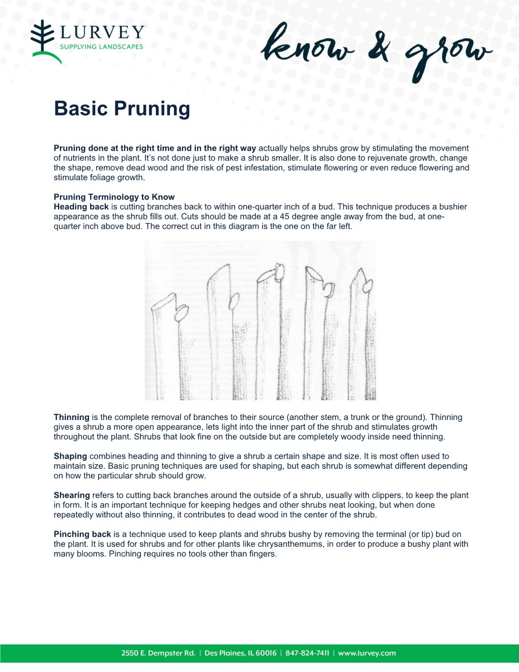 Basic Pruning