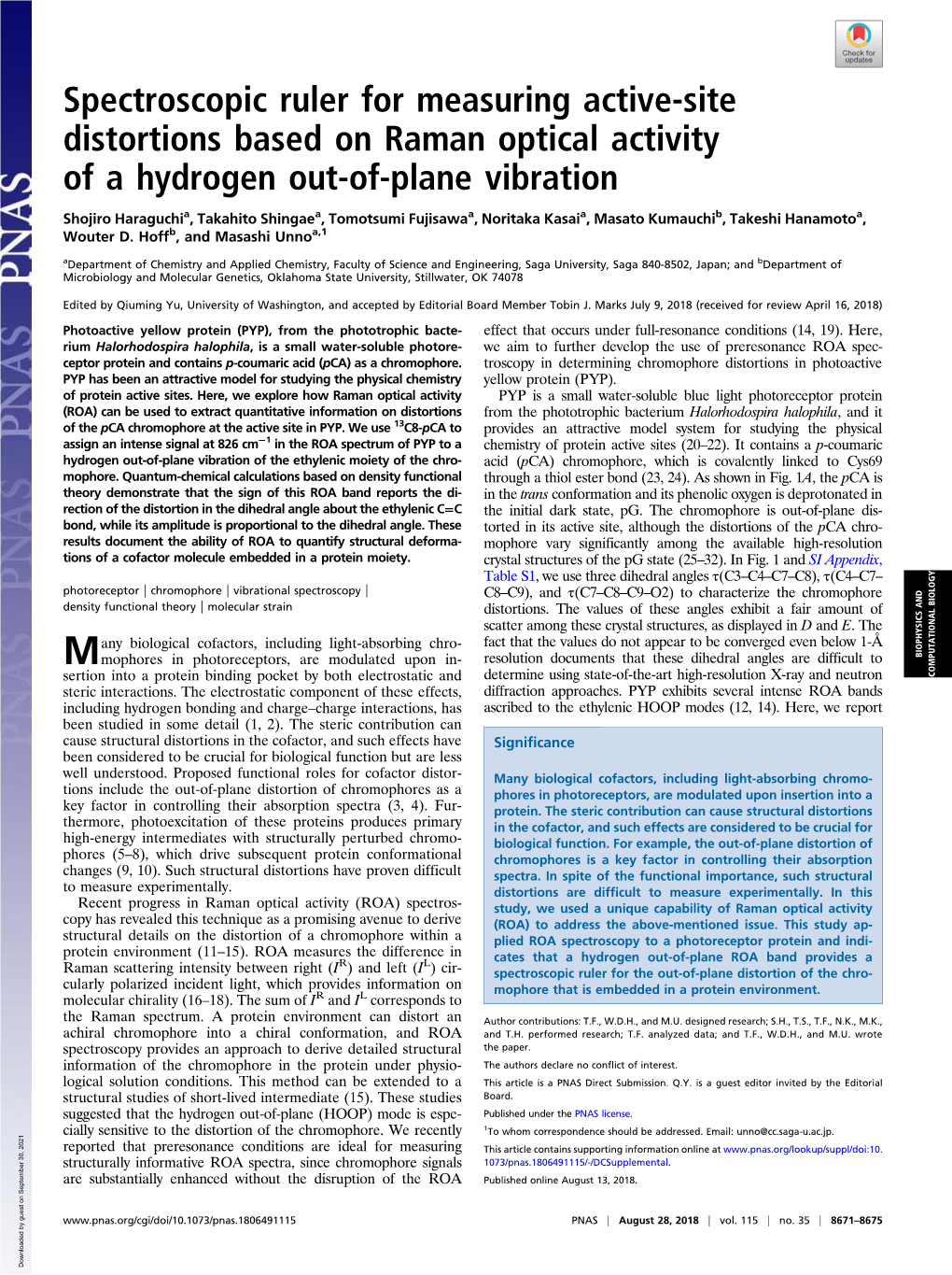 Spectroscopic Ruler for Measuring Active-Site Distortions Based on Raman Optical Activity of a Hydrogen Out-Of-Plane Vibration