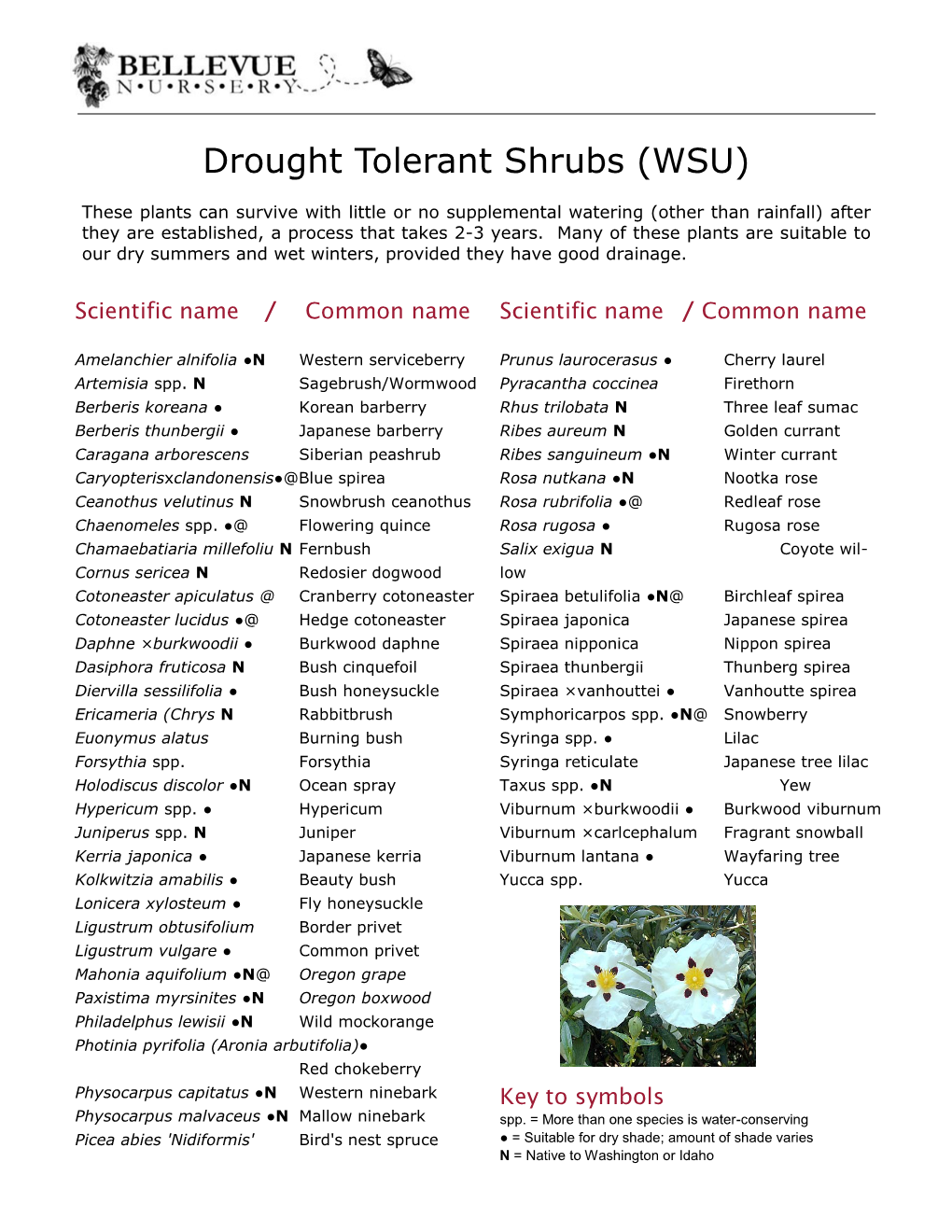 Drought Tolerant Plants