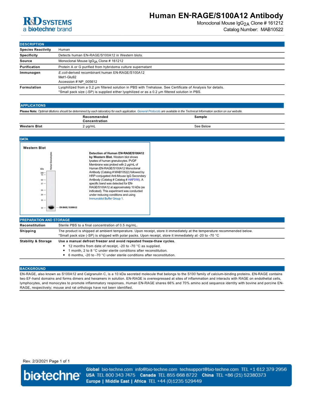 Human EN‑RAGE/S100A12 Antibody