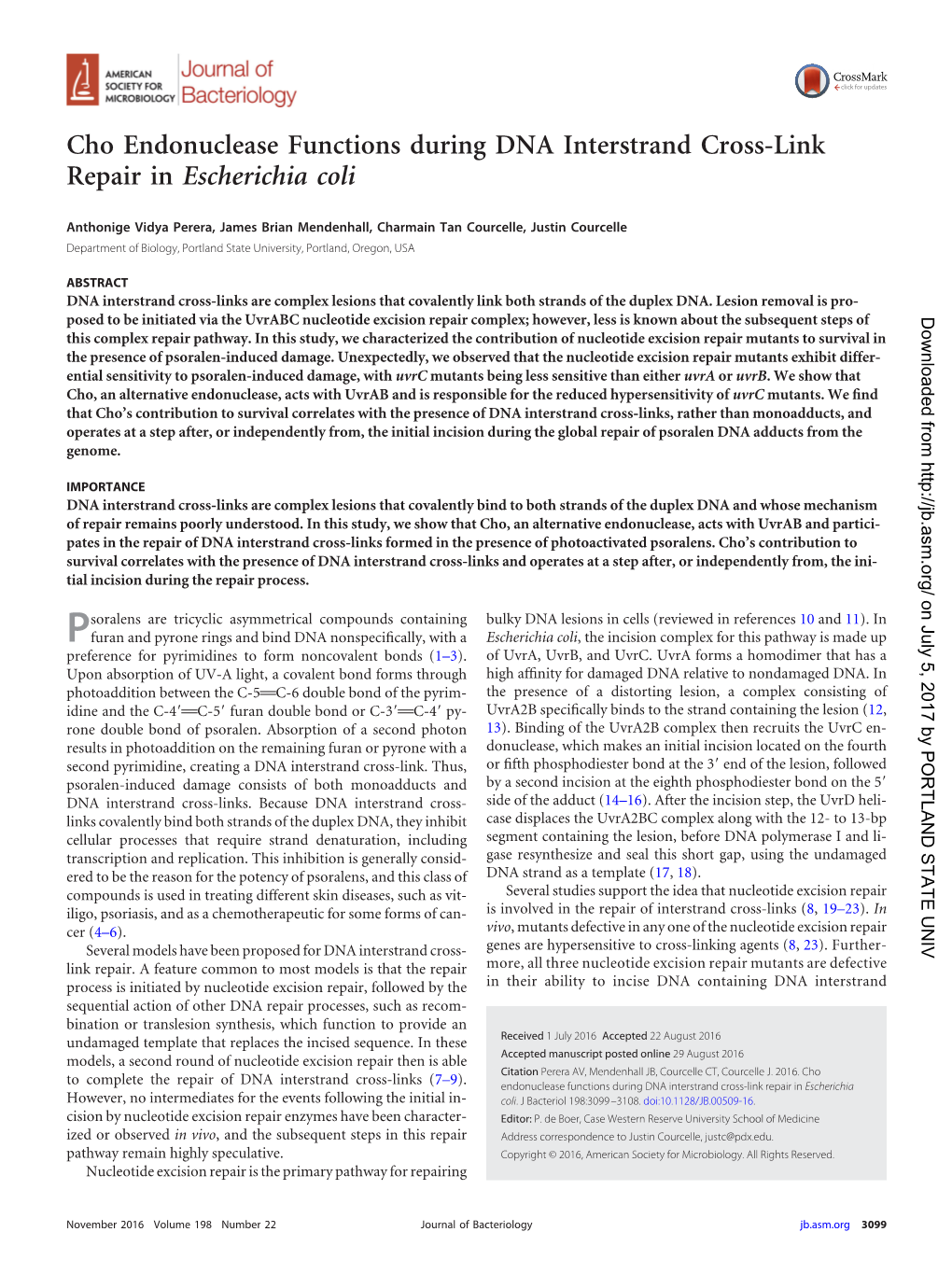 Cho Endonuclease Functions During DNA Interstrand Cross-Link Repair in Escherichia Coli