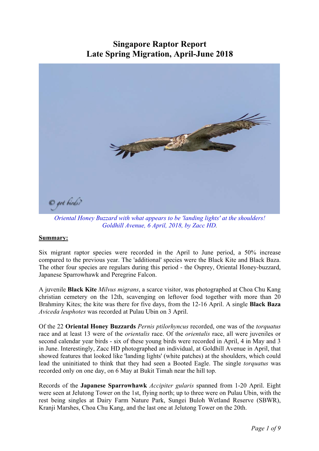 Singapore Raptor Report, Late Spring Migration, Apr-Jun 2018, V2