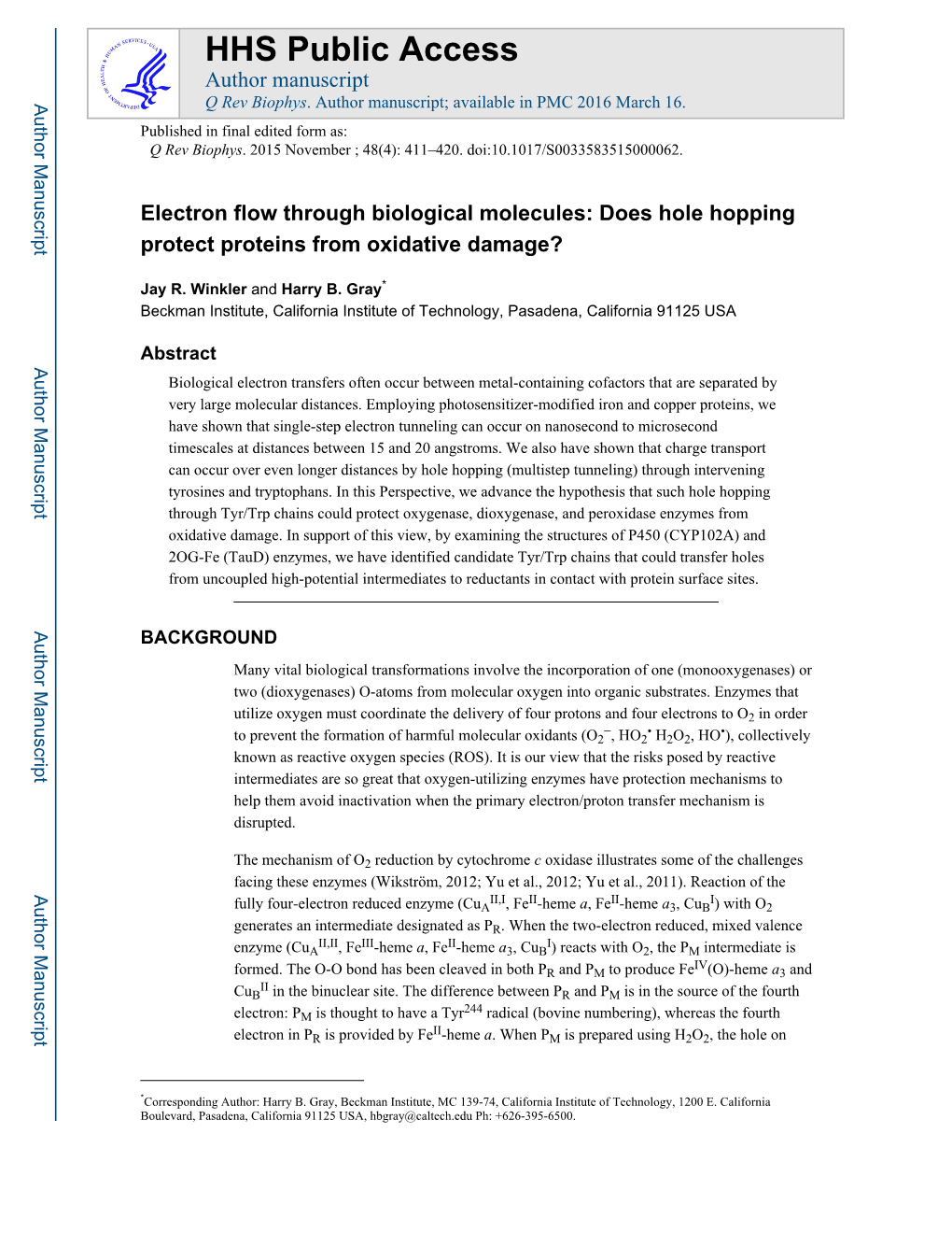 Electron Flow Through Biological Molecules: Does Hole Hopping Protect Proteins from Oxidative Damage?