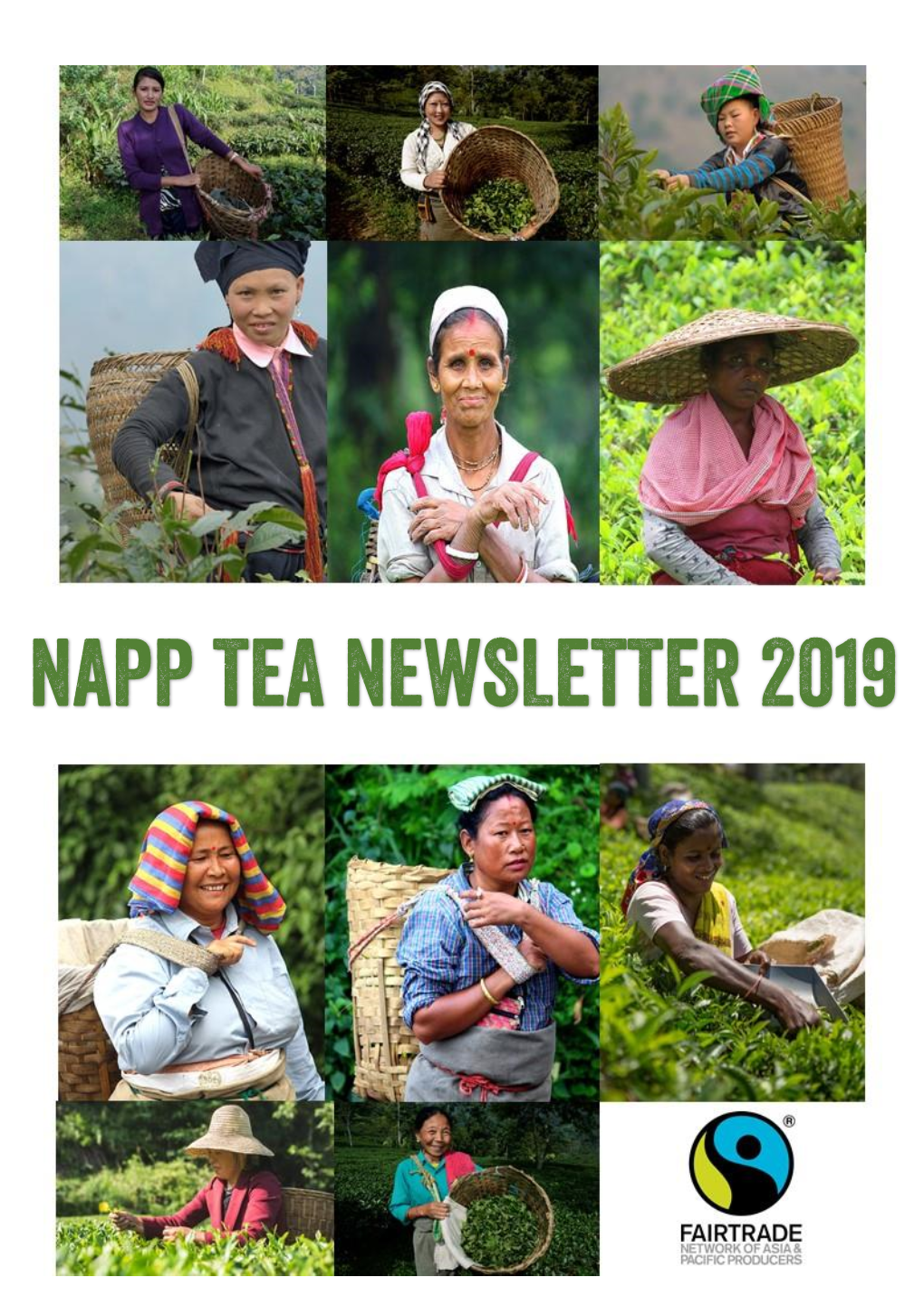Napp Tea Newsletter 2019