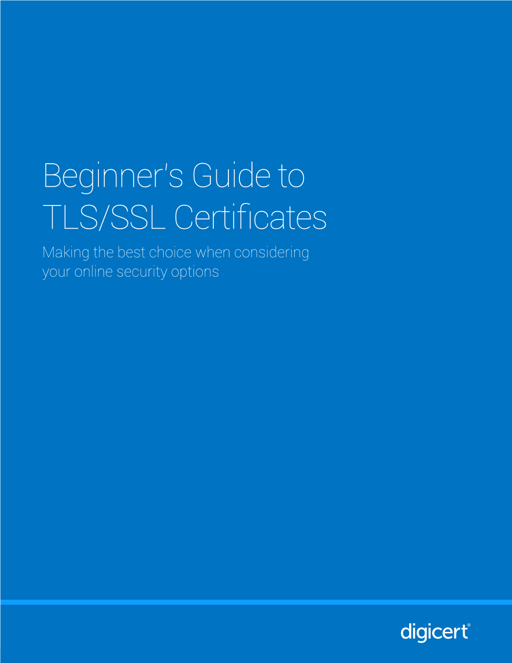 Beginner's Guide to SSL Certificates