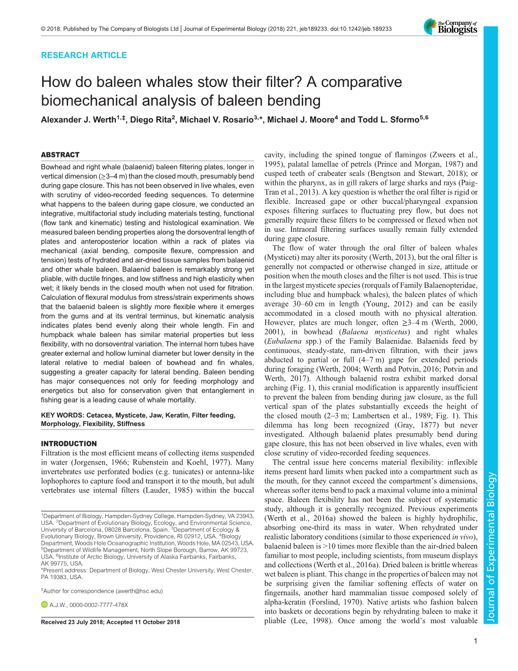 How Do Baleen Whales Stow Their Filter? a Comparative Biomechanical Analysis of Baleen Bending Alexander J