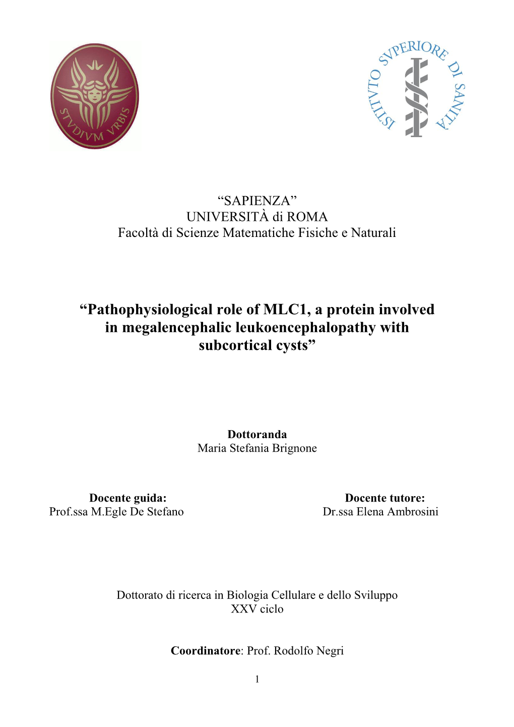 Pathophysiological Role of MLC1, a Protein Involved in Megalencephalic Leukoencephalopathy with Subcortical Cysts”