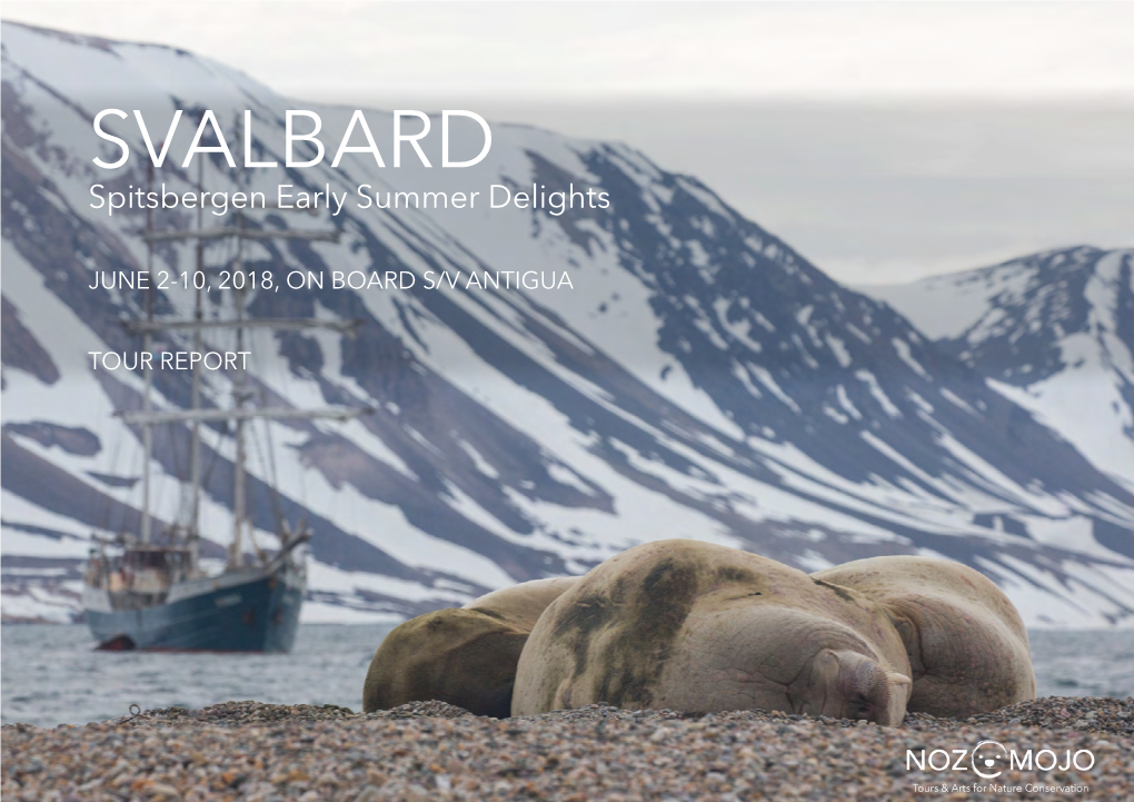 Svalbard June 2