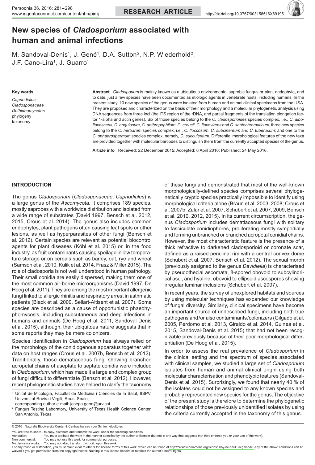 New Species of <I>Cladosporium</I>