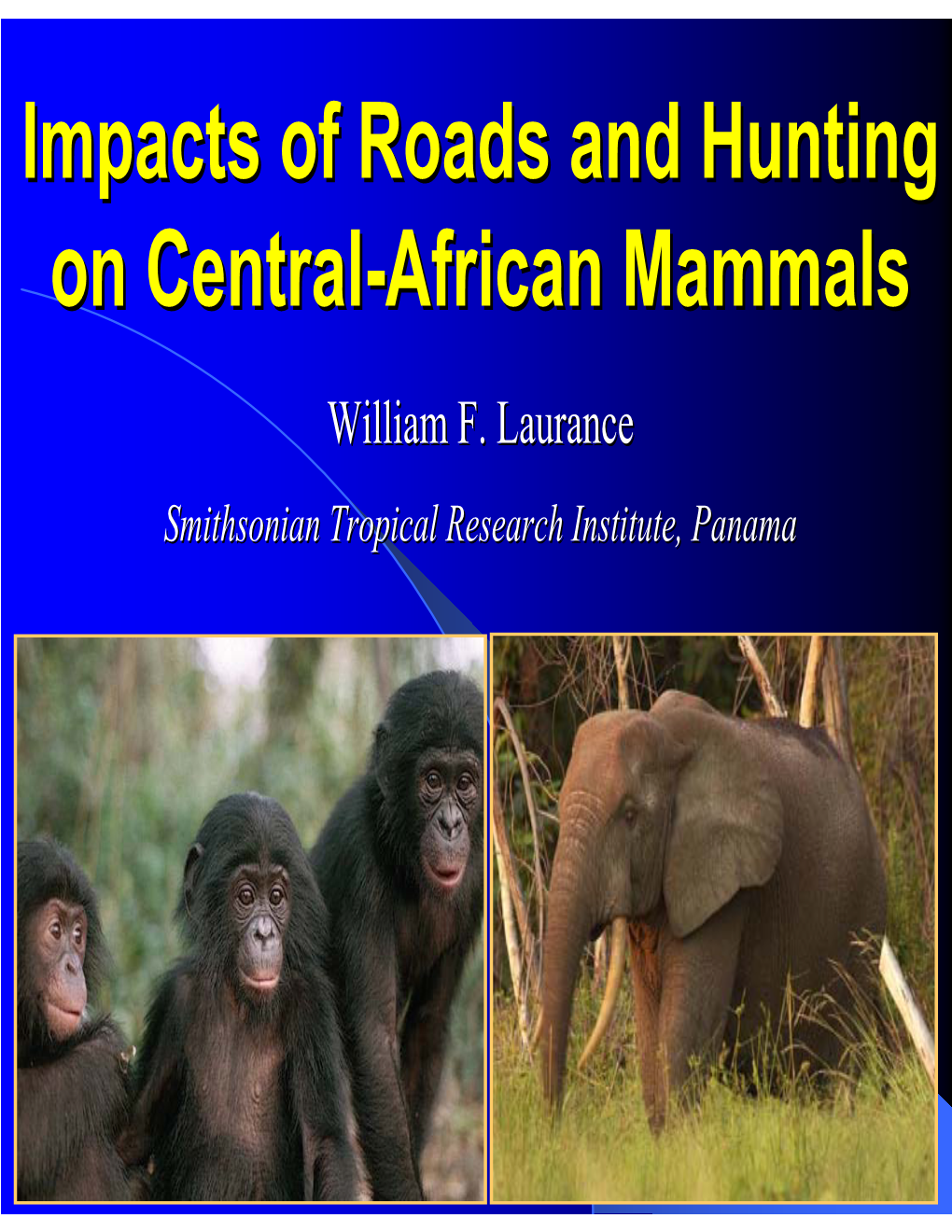 Impacts of Roads and Hunting on Central-African Mammals