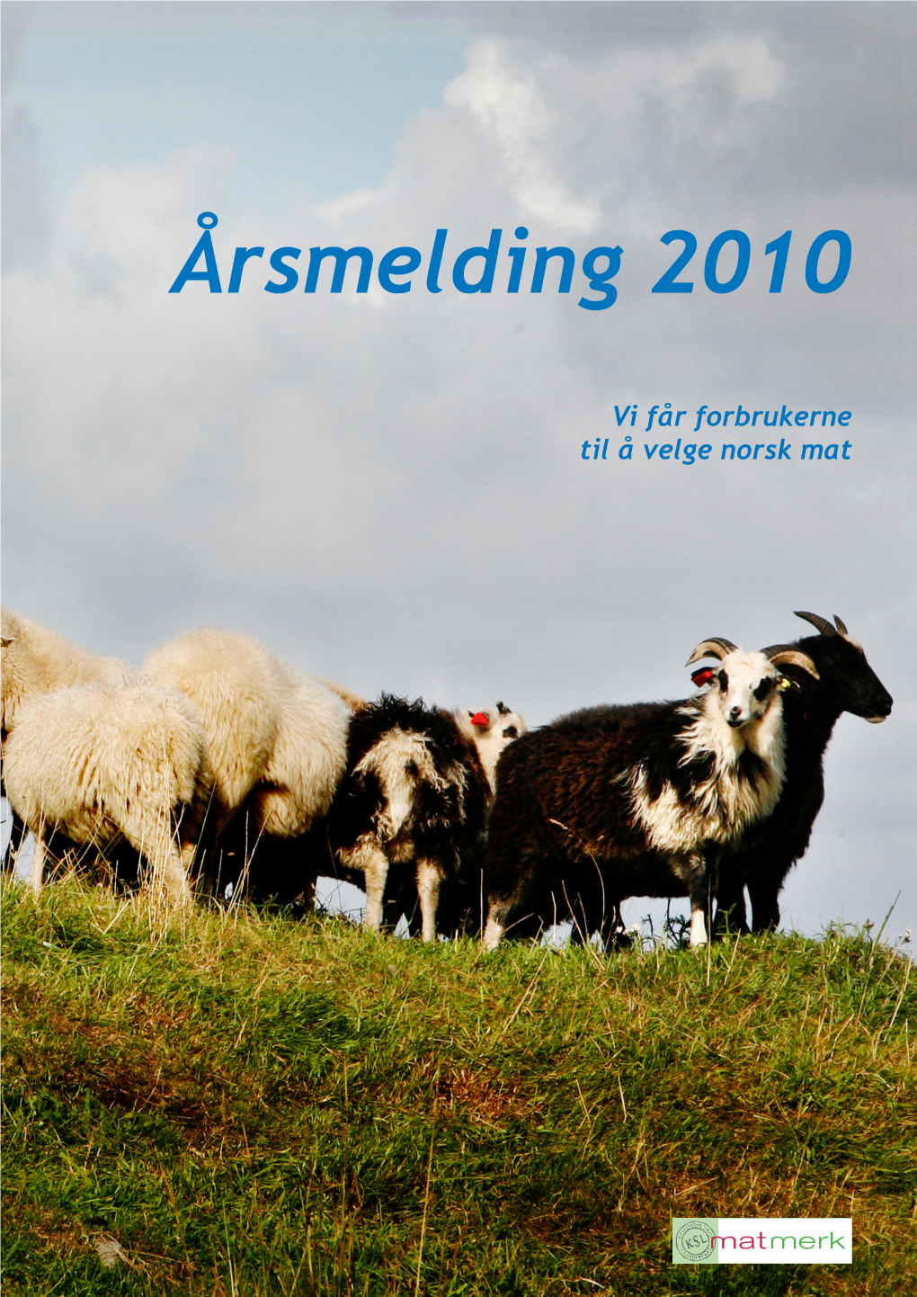 Årsmelding 2010