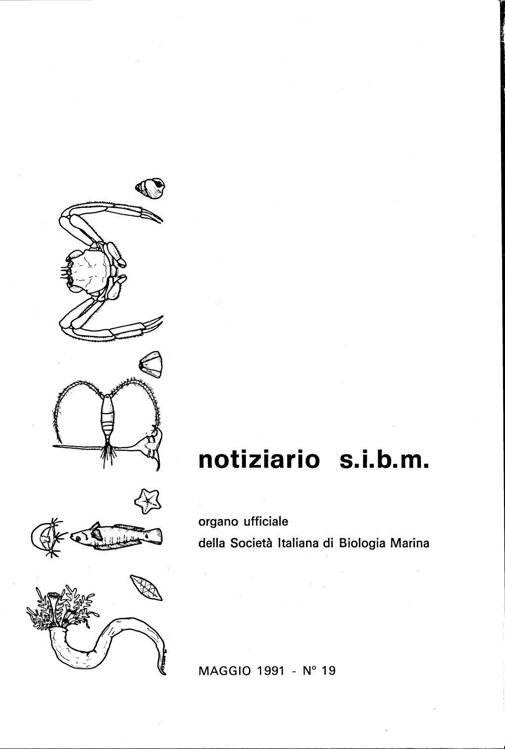 Maggio 1991 N°19