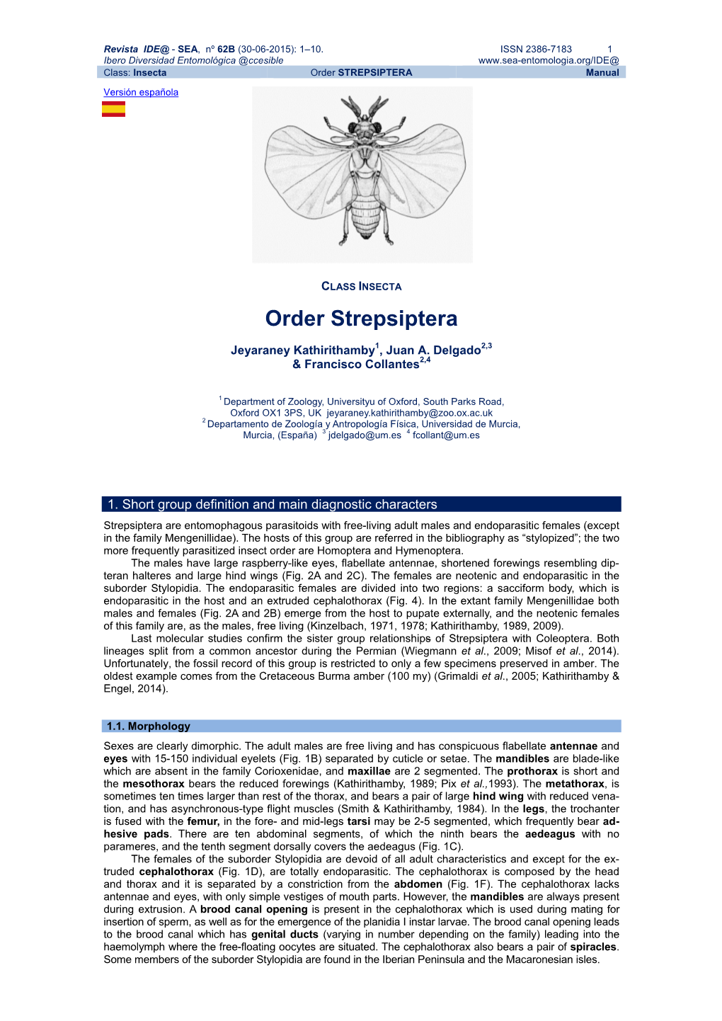 Order STREPSIPTERA Manual Versión Española