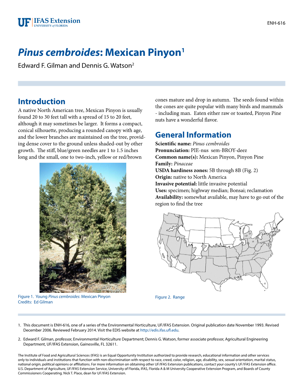 Pinus Cembroides: Mexican Pinyon1 Edward F